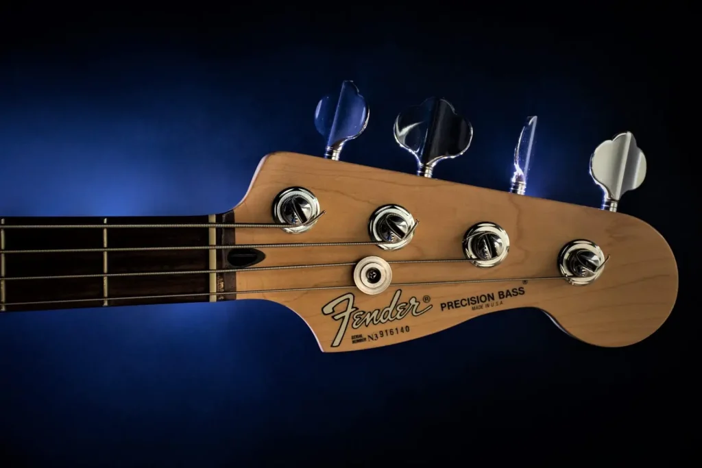 Best Gig Bag for Bass