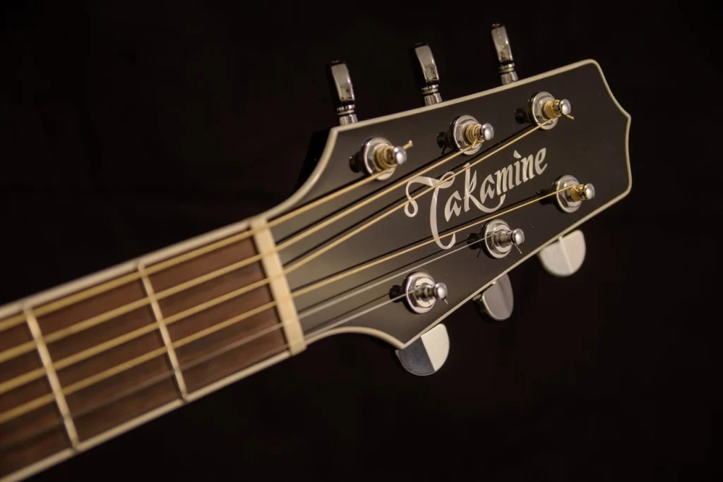 photo displays takamine acoustic guitar