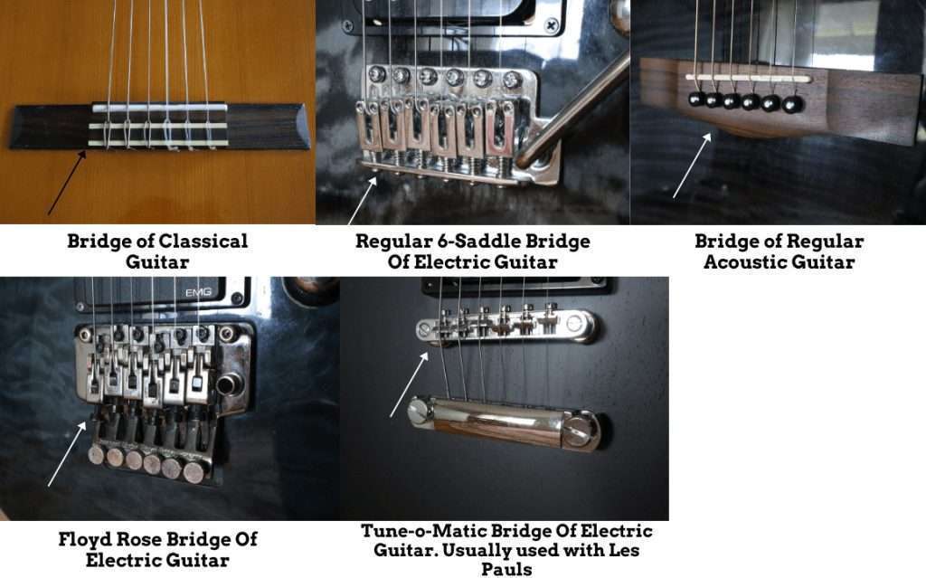 photo reveals different guitar bridge-types