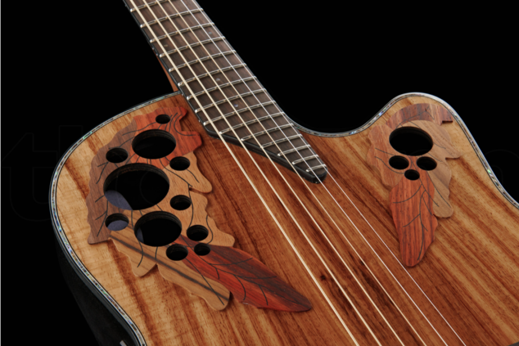 photo displays soundholes and fretboard of Ovation Celebrity Elite Plus CE44P-FKOA