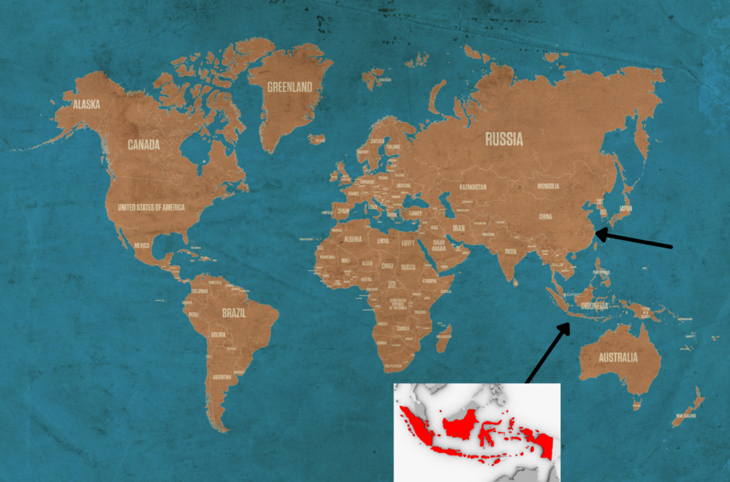 image reveals that Yamaha acoustic Guitars are Made in Indonesia and China