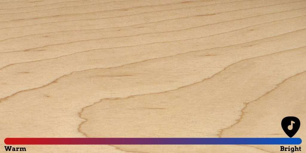 displays maple wood and reveals how it can affect the sound of electric guitar
