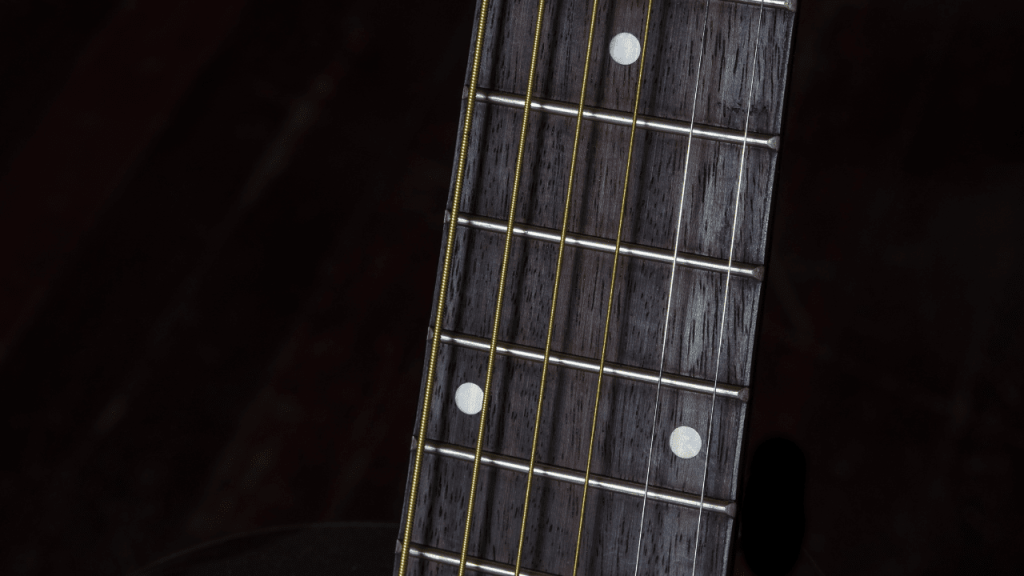 displays Guitar with Ebony Fretboard