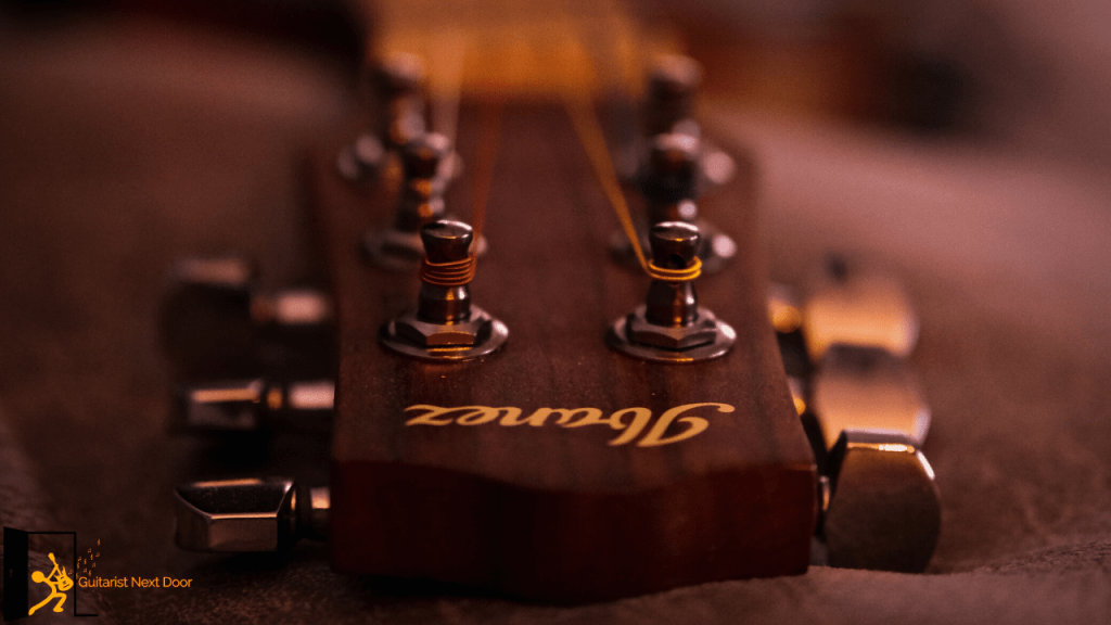 displays a headstock of a Ibanez acoustic guitar