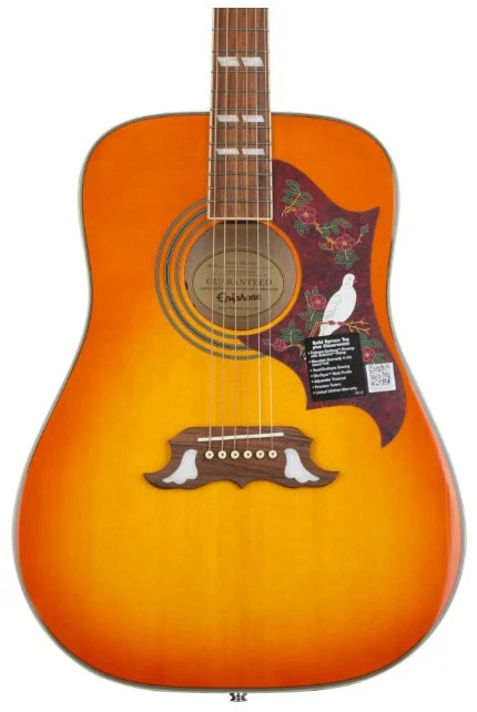 displays Epiphone Dove Studio