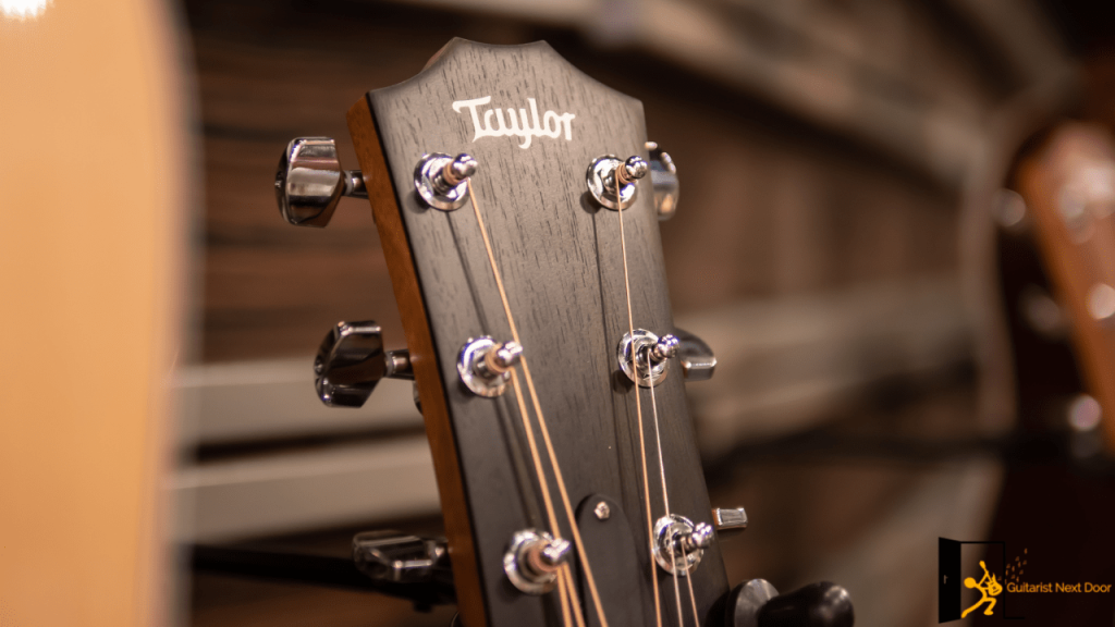 Displays a headstock of a Taylor guitar