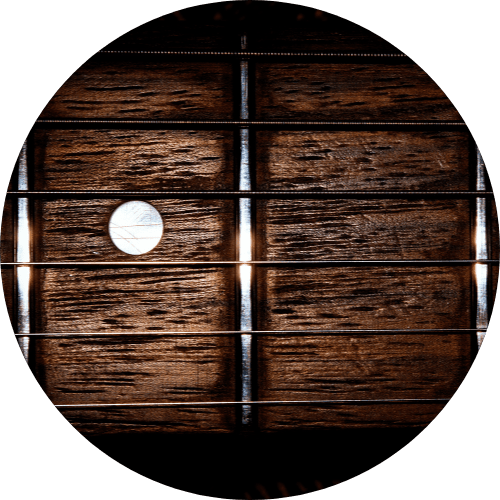 displays Frets and fret wires of acoustic guitar