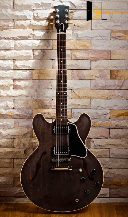 displays Semi Hollowbody electric guitar bodyshape