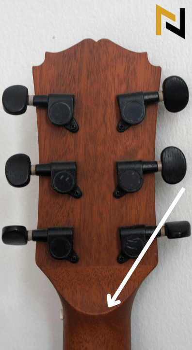 Displays Volute Headstock Guitar