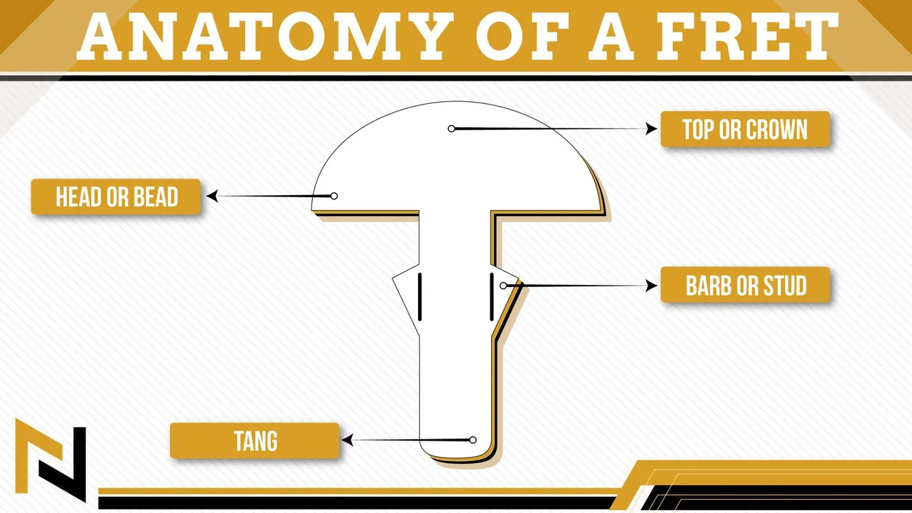 displays Anatomy of A Fret graphic