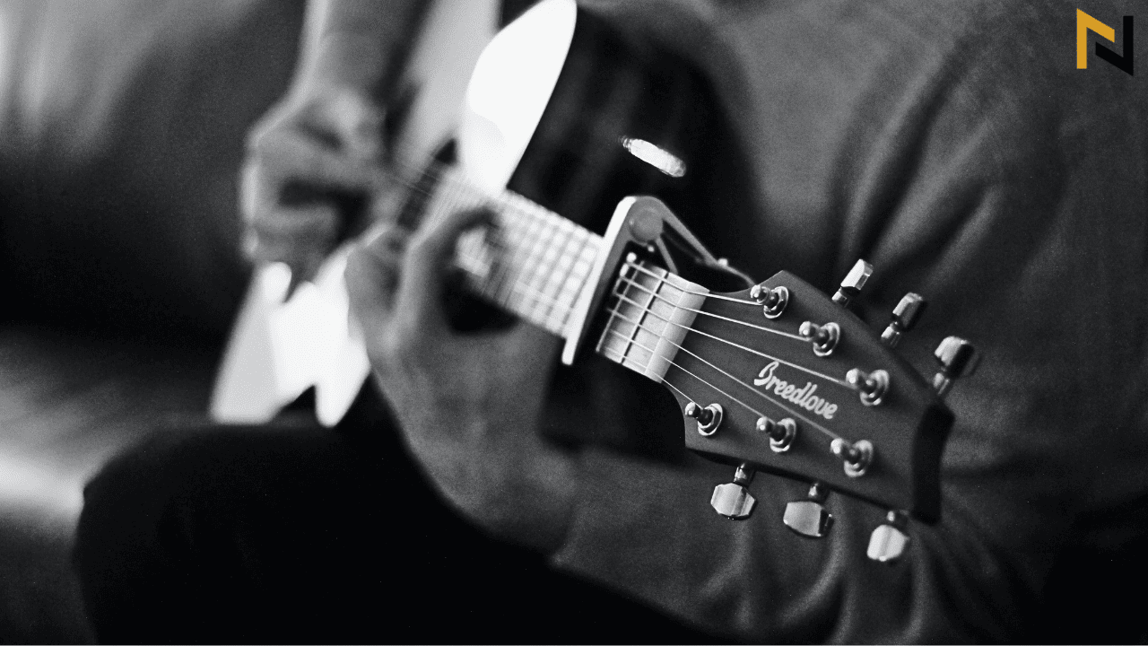 displays breedlove guitar acoustic guitar