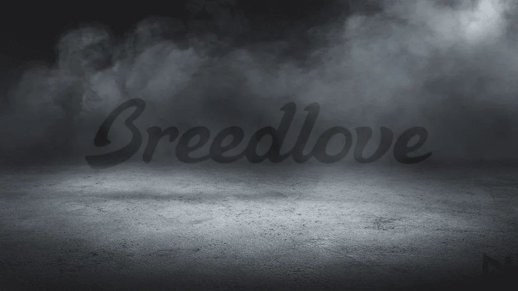 displays Breedlove Guitars logo