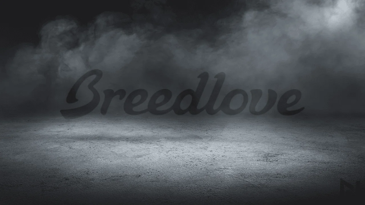 displays Breedlove Guitars logo